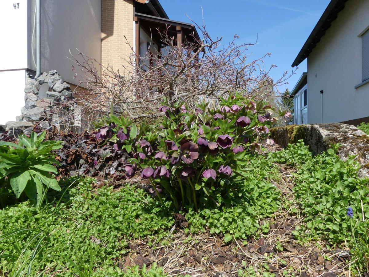 Ferienwohnung Schanbacher Oberzent Exterior foto